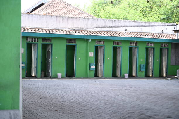 Best Local porta potty services  in Tool, TX